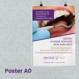 Poster A0 gloss indoor / outdoor PVC Poster A0 gloss indoor / outdoor PVC