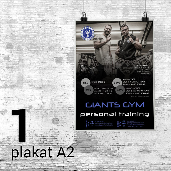 1 Plakat A2 Satin
