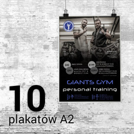 10 Plakatów A2 Satin