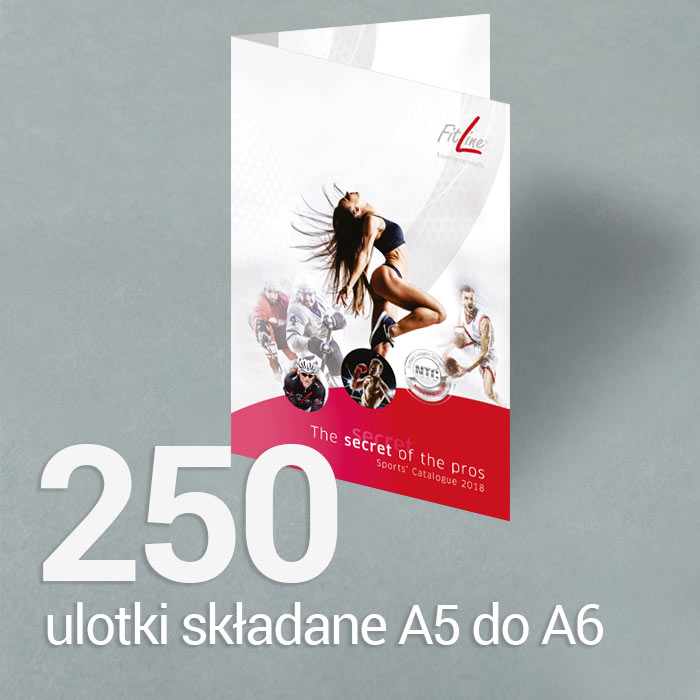 250 Ulotka A5 składana do A6 Gloss/Silk