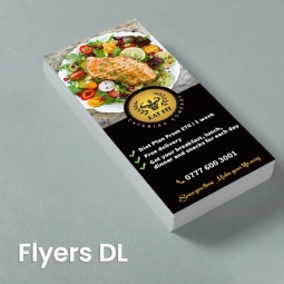 Flyer DL Gloss/Silk Flyer DL Gloss/Silk